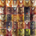 Insects_Heteroptera