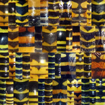 Insects_WaspsAndHoverflies
