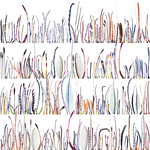 Insects_Antennae