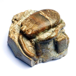 Drei-Tasten-Maus (Langzeitstudie) (2013) (Ansicht vorne li