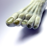 "Missing Link II" (2007)