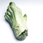 "Missing Link II" (2007)