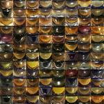 Insects_Syrphidae